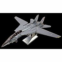 F-14 Tomcat