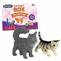 Pocket Box Suprise - Cats