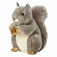 Grey Squirrel - Miyoni