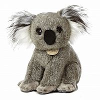 Koala 9