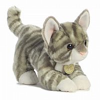 Grey Tabby Kitten - Miyoni Tots