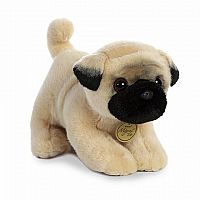 Pug Pup 10in -Miyoni Tots