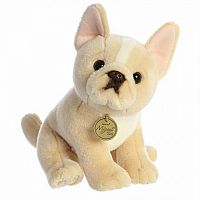 French Bulldog Pup 9