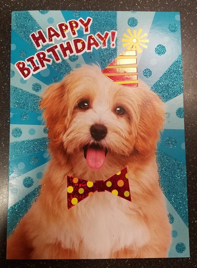 Dog Glitter Birthday Card - Raff and Friends