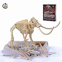 Mammoth Dig a Mammoth Skeleton 