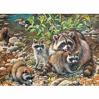 Raccoon Family (Family Puzzle) 350pc