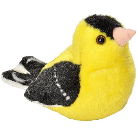 Audubon Bird II American Goldfinch