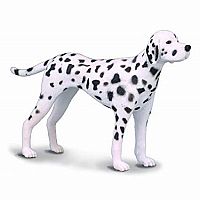 Dalmatian