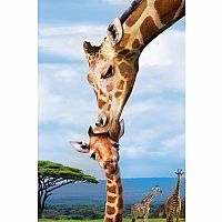 Save Our Planet: Giraffes 250pc