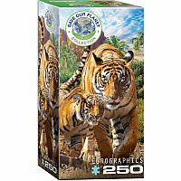 Save Our Planet: Tigers 250pc
