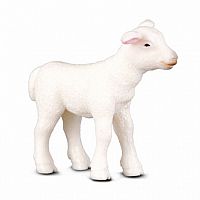 Lamb - Standing