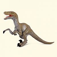 Velociraptor