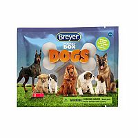 Pocket Box DOGS
