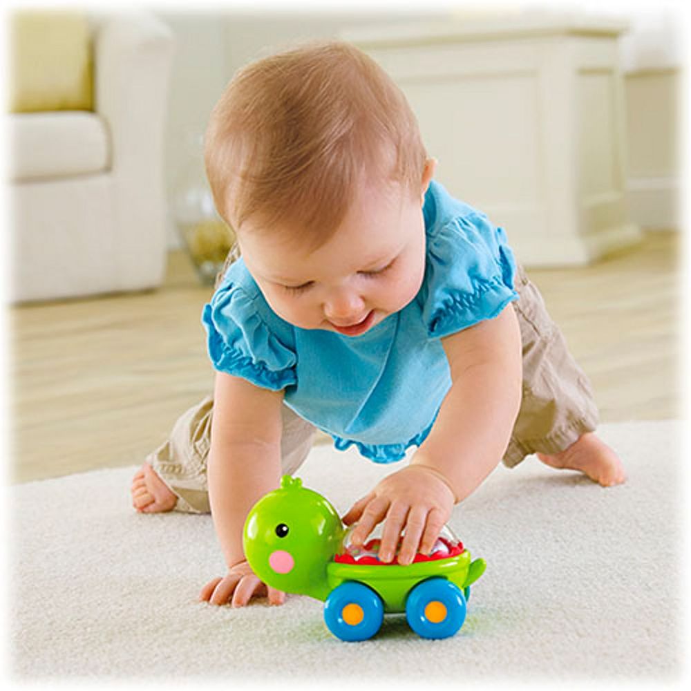 Poppity pop turtle hot sale
