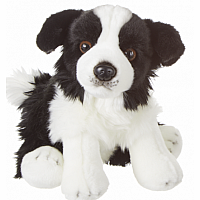 Border Collie 12