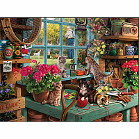Curious Kittens 1000pc