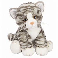 Grey Tabby Cat 12