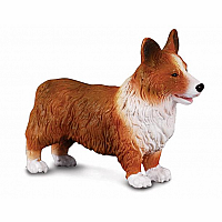 Welsh Corgi