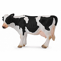 Friesian Cow