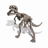 Dig a Dino T-Rex