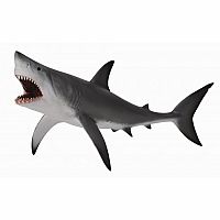 Great White Shark - Open Shark