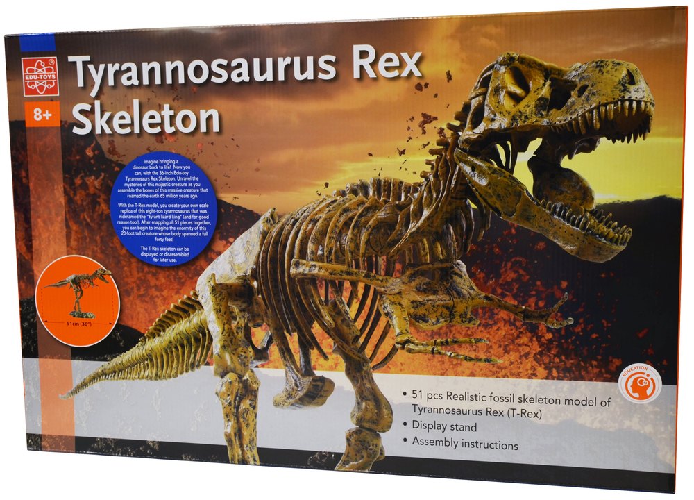full skeleton of t rex