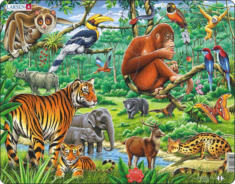 Jungle Animals 20pc Jigsaw