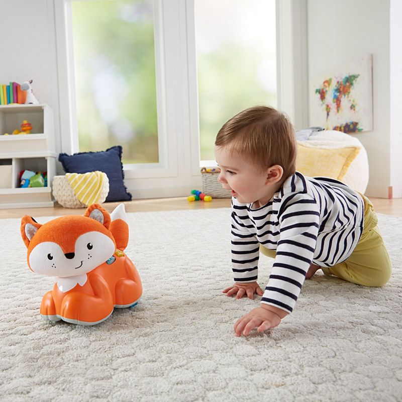 crawl after learning fox