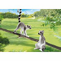 70355 Lemurs