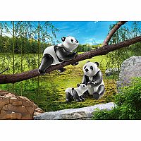 70353 Pandas with Cub