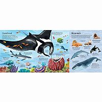 Big Book of Sea Creatures