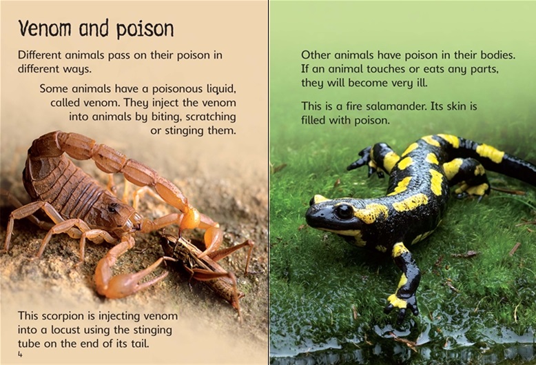 Poisonous Animals Raff and Friends