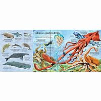 Big Book of Sea Creatures