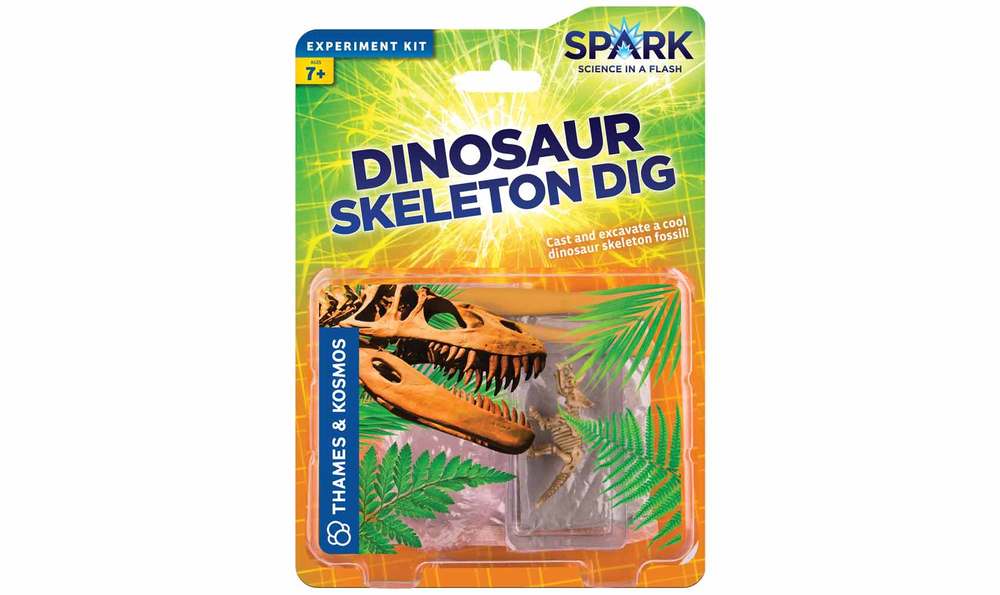 dino skeleton dig