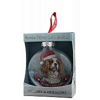 Cavalier King Charles Spaniel