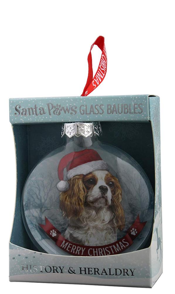 Cavalier King Charles Spaniel