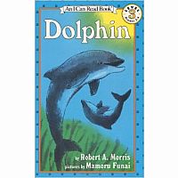 Dolphin by Robert A. Morris