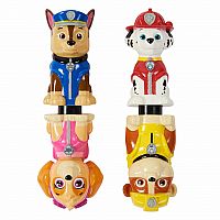 Paw Patrol "Teach me to Swim" Dive Sticks