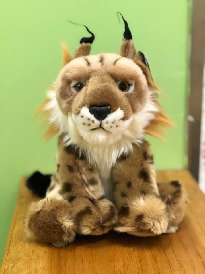 Forest & Twelfth Cheetah Stuffed Animal - 8" Realistic Plush Toy For Kids
