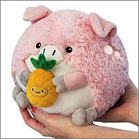 Mini Pig Holding Pineapple