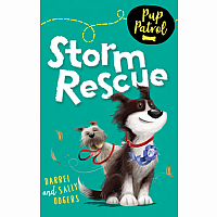 Pup Patrol: Storm Resuce