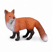 Red Fox