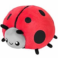 Ladybug II