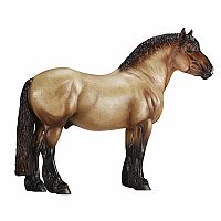 Theo - Draft Horse